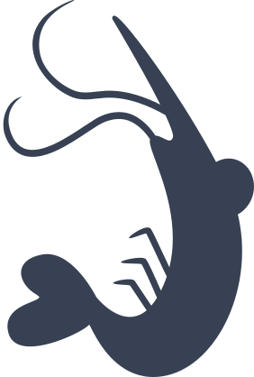 Shrimp Swimming Sticker