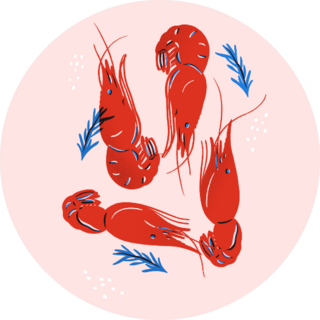 Shrimp With Herbs Illustration Sticker