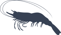 Shrimp With Long Antennas Sticker
