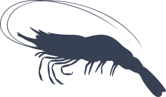 Shrimp With Long Antennas Sticker