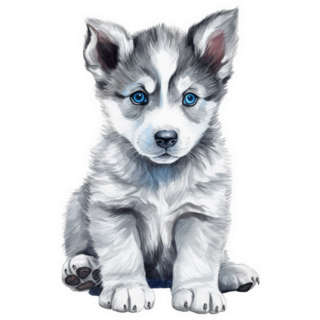 Siberian Husky Puppy Sticker