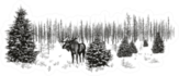 Siberian Moose In Winter Forest Sticker