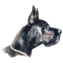 Side Profile Great Dane Sticker