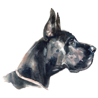 Side Profile Great Dane Sticker