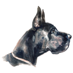 Side Profile Great Dane Sticker