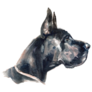 Side Profile Great Dane Sticker