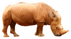Side View Of A Rhino On A White Background Sticker
