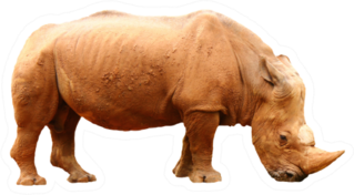 Side View Of A Rhino On A White Background Sticker