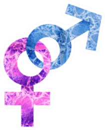 Sign Of Man And Woman. Gender Equality Sticker