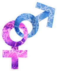 Sign Of Man And Woman. Gender Equality Sticker