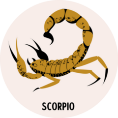 Sign Of The Zodiac Scorpio Sticker
