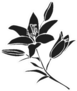Silhouette Lily Black Outline Flower Sticker