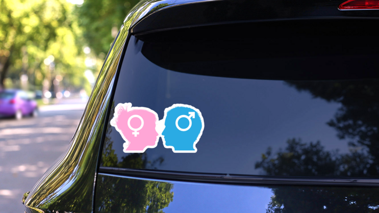 Silhouette Male And Female Sex Symbol Sticker on a Rear Car Window (New) example