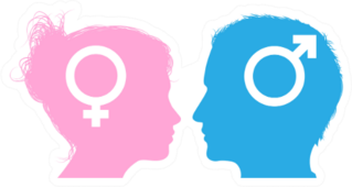 Silhouette Male And Female Sex Symbol Sticker