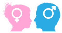 Silhouette Male And Female Sex Symbol Sticker