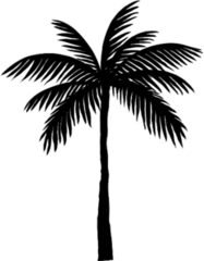 Silhouette Of A Single Palm Tree Sticker