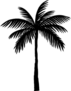 Silhouette Of A Single Palm Tree Sticker