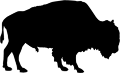 Silhouette Of Buffalo Sticker