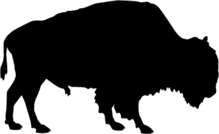 Silhouette Of Buffalo Sticker