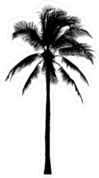 Silhouette Of Coconut Tree Sticker
