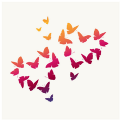 Silhouette of Colorful Butterflies Stickers