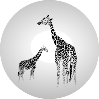 Silhouette Of  Giraffe With Her Baby Sticker