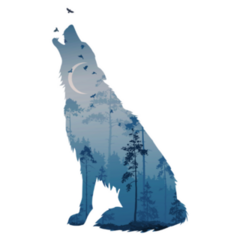 Silhouette Of Howling Wolf in Mysterious Night Forest Sticker