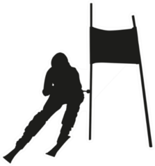 Silhouette Of Skier Passing Gate Sticker