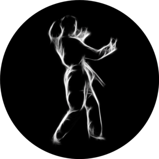 Silhouette Portrait Martial Arts Girl In Kimono Sticker