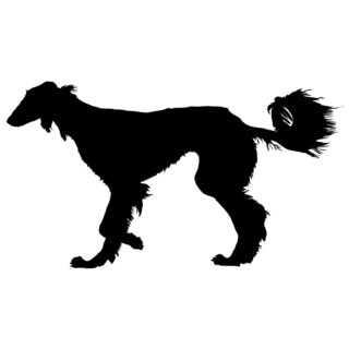 Silhouette Saluki Sticker