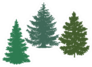 Silhouettes Of Spruce And Pine Trees Sticker
