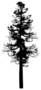 Silhouettes Of Tall Pine Illustration Sticker