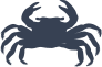 Silly Crab Sticker