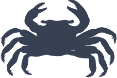 Silly Crab Sticker