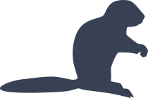 Silly Ferret Sticker