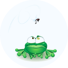 Silly Frog With Fly Hovering Above Sticker