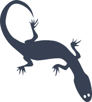 Silly Lizard Gecko Sticker