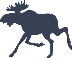 Silly Running Moose Sticker