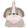 Silly Shih Tzu Dog Sticker
