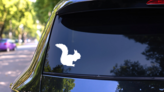 Silly Squirrel Sticker on a Rear Car Window (New) example