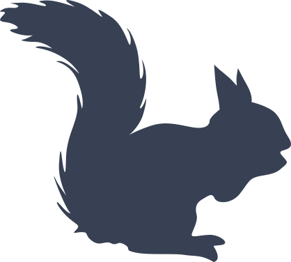 Silly Squirrel Sticker