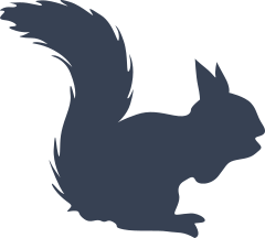 Silly Squirrel Sticker