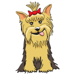 Silly Yorkie Sticker