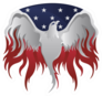 Silver American Eagle USA Flag And Flames Sticker
