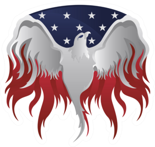 Silver American Eagle USA Flag And Flames Sticker