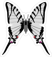 Silver Butterfly Sticker