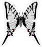Silver Butterfly Sticker
