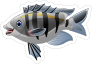 Silver Fish Sticker
