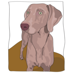 Silver Weimaraner Sticker