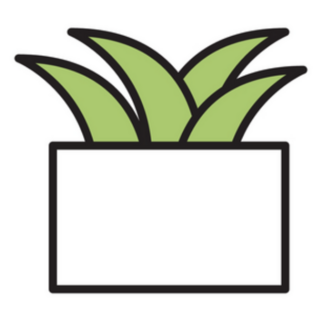 Simple Aloe Succulent Potted Indoor Plant